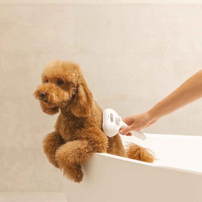 PetCare MultiBrush
