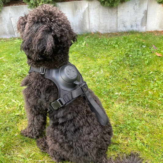 PawGuard Pro